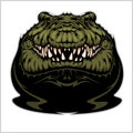 Angry Alligator Vector Mascot