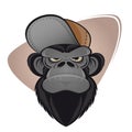 Angry ape with cap Royalty Free Stock Photo