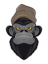 Angry ape with hat Royalty Free Stock Photo