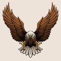 Angry Bald Eagle Hand Draw Style Illustration Royalty Free Stock Photo