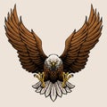 Angry Bald Eagle Hand Draw Style Illustration