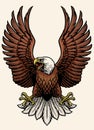 Angry bald eagle in hand drawn style Royalty Free Stock Photo