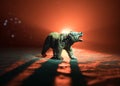 Angry bear behind the fire cloudy sky. The silhouette of a bear in foggy forest dark background. Selective focus Royalty Free Stock Photo