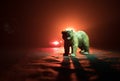 Angry bear behind the fire cloudy sky. The silhouette of a bear in foggy forest dark background. Selective focus Royalty Free Stock Photo