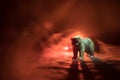 Angry bear behind the fire cloudy sky. The silhouette of a bear in foggy forest dark background. Selective focus Royalty Free Stock Photo