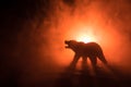 Angry bear behind the fire cloudy sky. The silhouette of a bear in foggy forest dark background. Selective focus Royalty Free Stock Photo