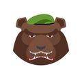 Angry bear in green beret. Aggressive Grizzly head. Wild animal