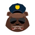 Angry bear in police cap. Aggressive Grizzly head. Wild animal m