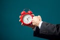 Angry bearded businessman holding alarm clock and shouting at it. Time management concept Royalty Free Stock Photo