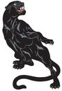 Angry black panther tattoo illustration