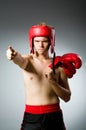 Angry boxer against Royalty Free Stock Photo