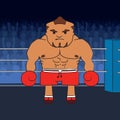 Angry boxer Royalty Free Stock Photo