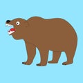 Angry brown bear.