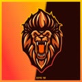 Angry brown lion roar text esport and sport mascot logo design in modern illustration concept for team badge emblem and thirst Royalty Free Stock Photo