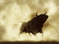 Angry bull Royalty Free Stock Photo