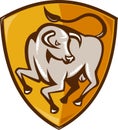 Angry bull attacking shield woodcut Royalty Free Stock Photo