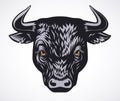 Angry bull head vector illustration on white background Royalty Free Stock Photo