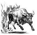 Angry bull running in fire Royalty Free Stock Photo