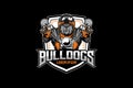 Angry Bulldog biker ride motorcycle vector badge logo template