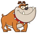 Angry Bulldog Dog Cartoon Mascot Character Brown Color