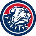 Angry Bulldog Dog Mongrel Head Mascot