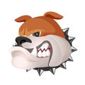 Angry bulldog face in metal collar profile view vector realistic Royalty Free Stock Photo