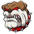 Angry bulldog mascot cartoon