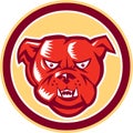 Angry Bulldog Mongrel Head Circle Retro