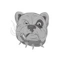 Angry Bulldog Smoking Corn Cob Pipe Drawing