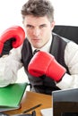 Angry businessman wearing boxing gloves Royalty Free Stock Photo