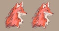 Angry and calm fox, detailed cartoon style vector illustration