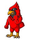 Angry cardinal bird cartoon