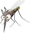 Angry cartoon mosquito