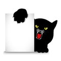 Angry cat holds a banner Royalty Free Stock Photo