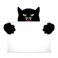 Angry cat holds a banner Royalty Free Stock Photo