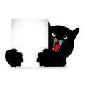 Angry cat holds a banner Royalty Free Stock Photo