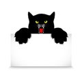 Angry cat holds a banner Royalty Free Stock Photo