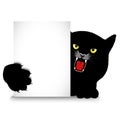 Angry cat holds a banner Royalty Free Stock Photo