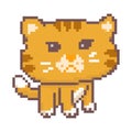 Angry cat pixel art, Cute angry cat, big head pixel art style