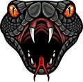 Angry cobra head mascot logo design