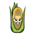 Angry corn cob cartoon. Colored sketch