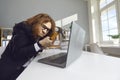 Angry crazy worker breaks laptop at work with a hammer while sitting at a desk in the office. Royalty Free Stock Photo