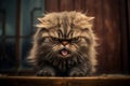 Angry disgruntled cat. AI