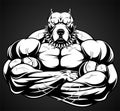 Angry dog bodybuilder