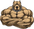 Angry dog bodybuilder Royalty Free Stock Photo