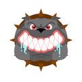 Angry dog face isolated. Evil Bulldog Head. vector illustration