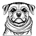 Angry dog hand draw digital illustration