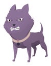 Angry dog. Mad animal with sharp teeth. Dangerous cartoon pet. Vector dog in action poses standing. Aggressive pooch Royalty Free Stock Photo