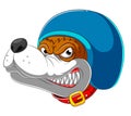 Angry Dog wearing helmet of Racer Royalty Free Stock Photo
