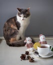 An angry fluffy cat is sitting on the table. On the front Board, tea in a white Cup, a slice of lemon, and snowman figures